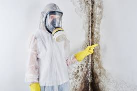 Best Commercial Mold Inspection  in Winston, OR